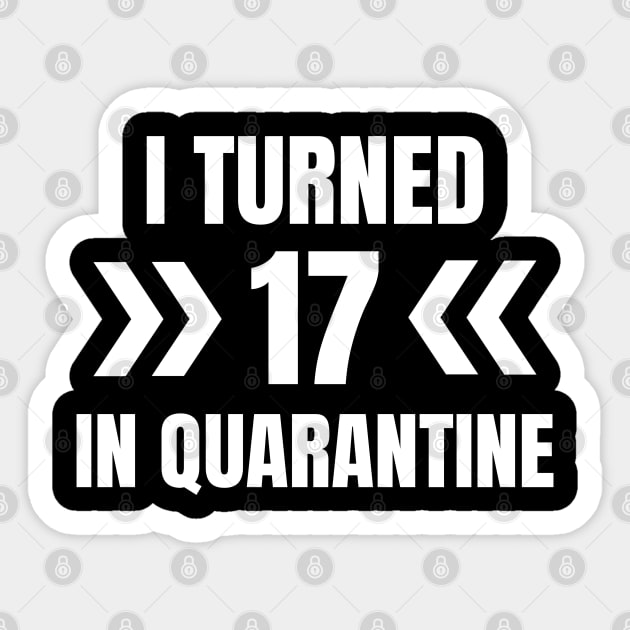 I Turned 17 In Quarantine Sticker by LunaMay